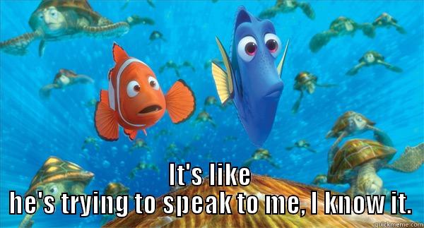 Meme of Dory and Marlin from Finding Nemo saying "It's like he's trying to speak to me, I know it."